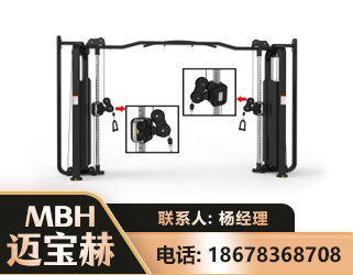 甘南大飞鸟训练器