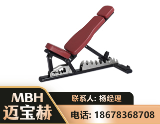 甘南可调哑铃椅